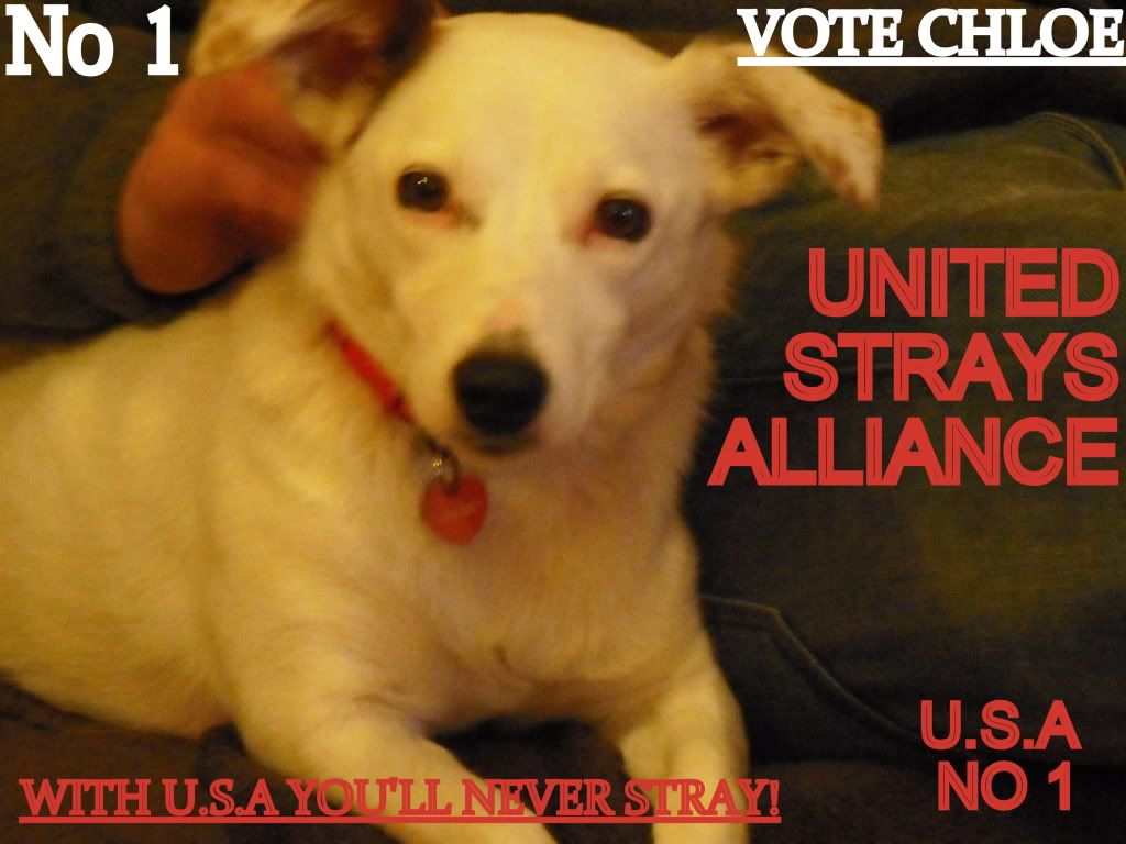 ElectionposterChloe1.jpg