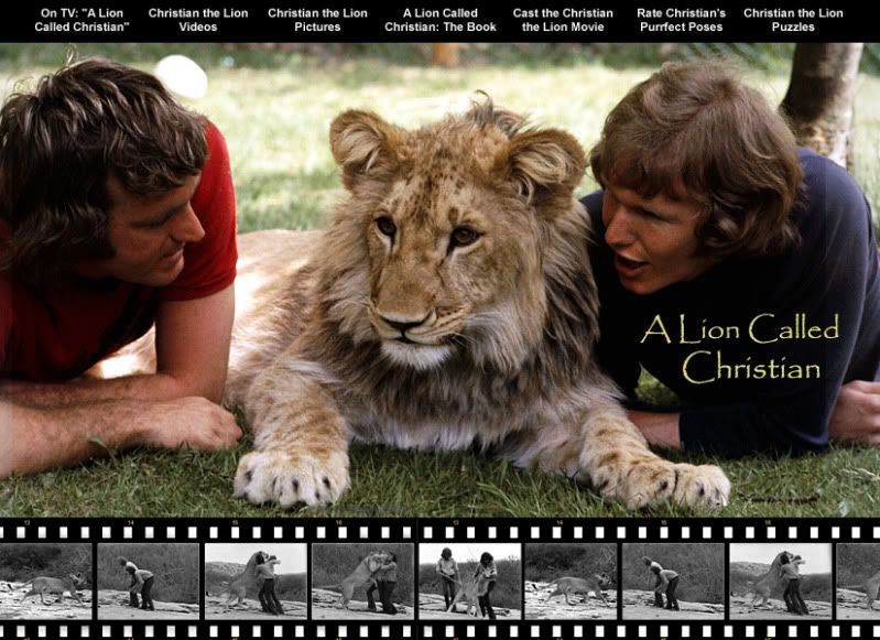 christian-the-lion.jpg