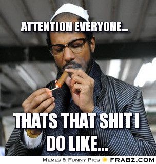  photo frabz-attention-everyone-thats-that-shit-i-do-like-674615_zpsa5c8f975.jpg