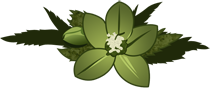 hellebore2_1.png