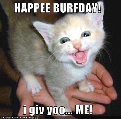 birthdaykitten-is-your-birthday-present.jpg