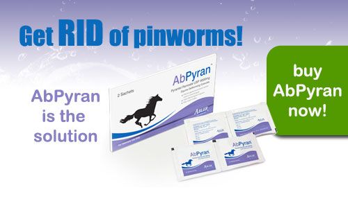 pinworm pictures anus