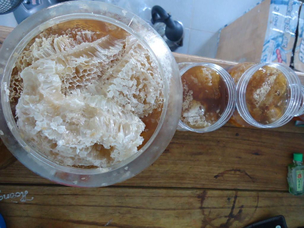 Chỉ cung cấp mật ong rừng nguyên tổ, nguyên sáp…có ít bán cho mọi người làm quà biếu! - 7