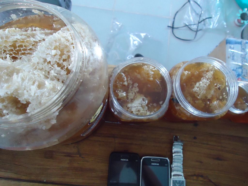 Chỉ cung cấp mật ong rừng nguyên tổ, nguyên sáp…có ít bán cho mọi người làm quà biếu! - 6