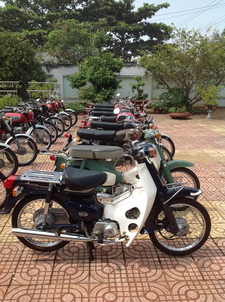 Đồng Nai-Cần bán Honda 67 68 72 Cub DD - Xe Zin 80-90% - 1