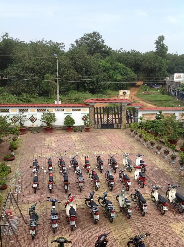 Đồng Nai-Cần bán Honda 67 68 72 Cub DD - Xe Zin 80-90%