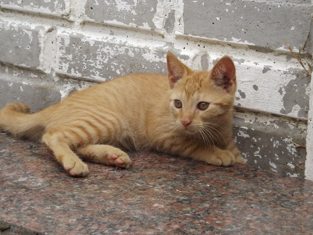 fotografías fotografías