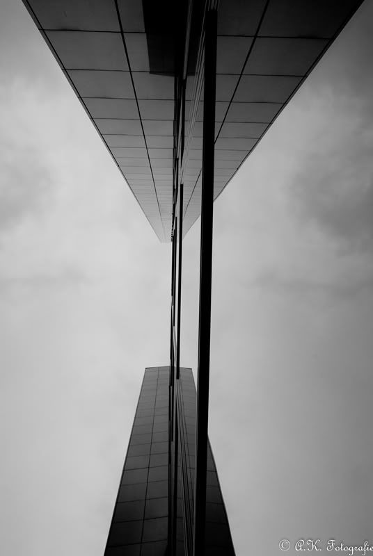 Fotografie