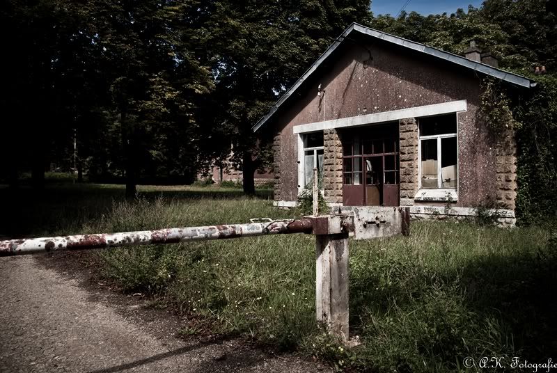 Fotografie