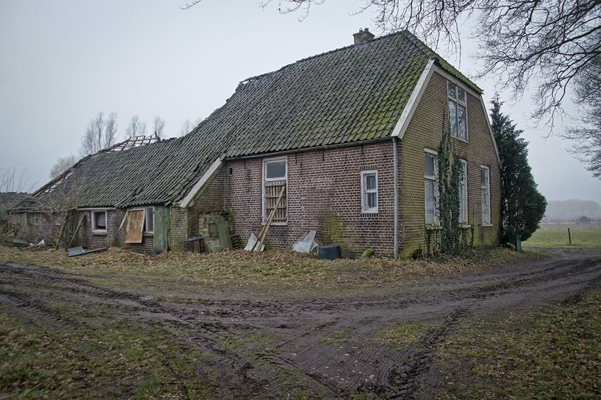 Fotografie