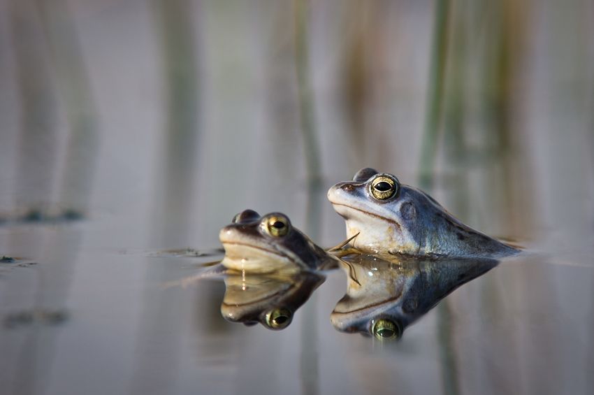 Fotografie