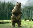 [Image: beardance.gif]
