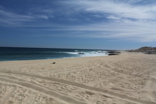 EastCape5.jpg