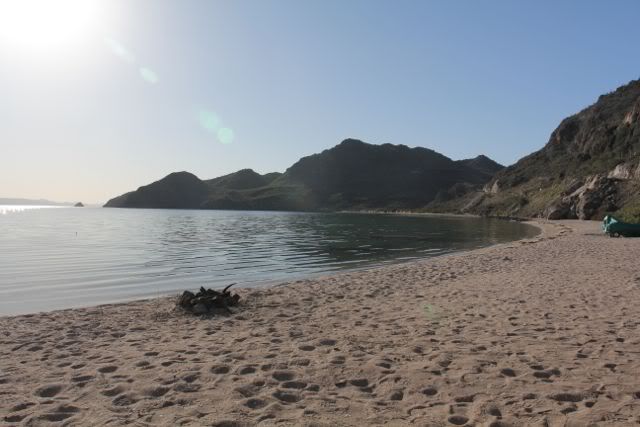 mulege1.jpg