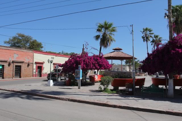 mulege2.jpg