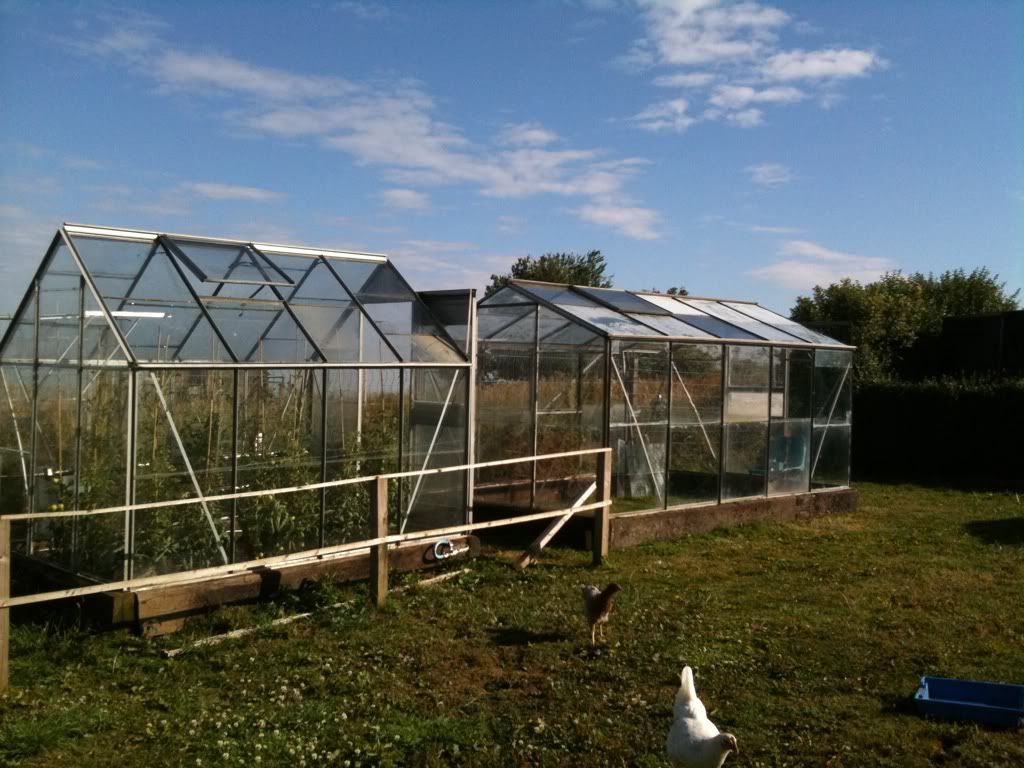 005517d5.jpg