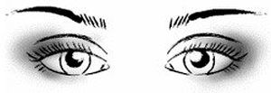 How To Apply Eye Shadow For Different Eye Shapes