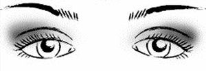 How To Apply Eye Shadow For Different Eye Shapes