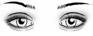 How To Apply Eye Shadow For Different Eye Shapes