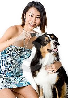 Tips For Dog Owners