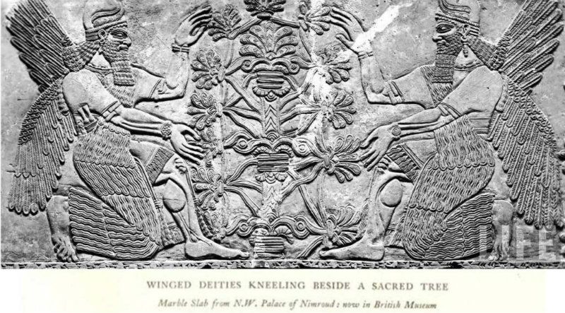Image result for babylonian christmas pictures