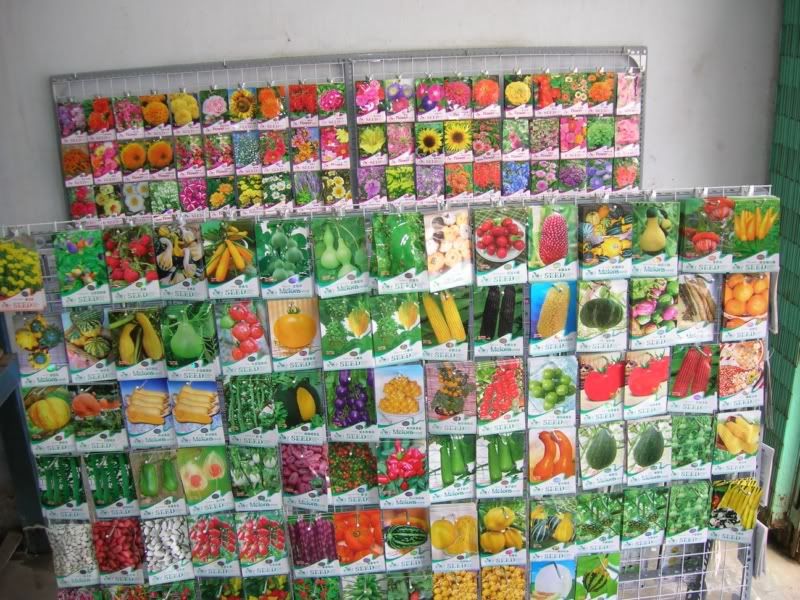Cửa hàng hạt giống hoa, rau trái, quả, rau mầm... - 5
