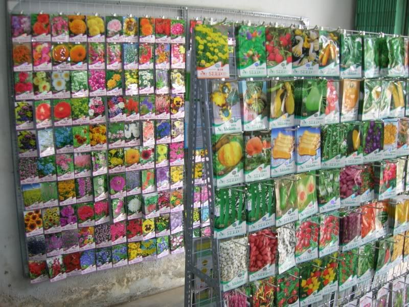 Cửa hàng hạt giống hoa, rau trái, quả, rau mầm... - 3