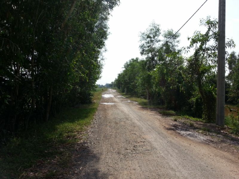 Bán 10000m2 đất vườn trồng cây lâu năm