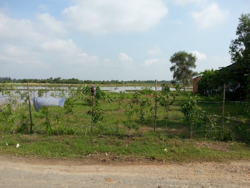 Bán 10000m2 đất vườn trồng cây lâu năm - 1