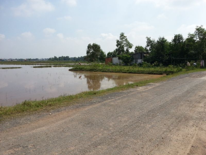 Bán 10000m2 đất vườn trồng cây lâu năm - 2