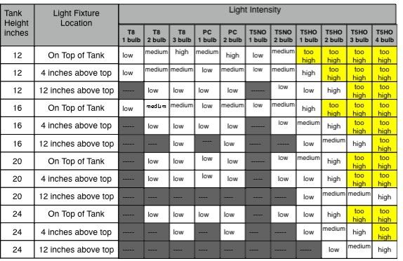 Light Intensity Chart