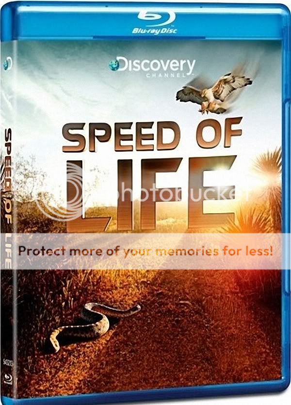 Speed life 3. Скорость жизни. Скорость моя жизнь. Игра на жизнь Дискавери.